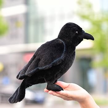 ノンジャンル ぬいぐるみ 約70体 まとめ売り Amazon.co.jp: 太洋産業貿易 ﾇｲｸﾞﾙﾐｲﾙｶS : おもちゃ